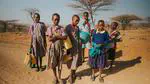 Detecting Land Degradation in Southern Africa Using Time Series Segment and Residual Trend (TSS-RESTREND)